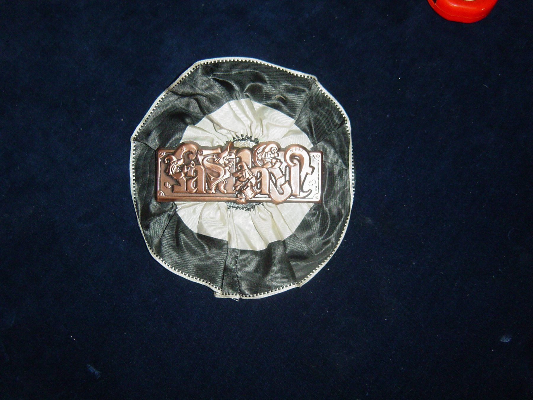 Medaglie: Basler Zugsplakette Kufer 2007 mit Rosette & Platte – Usato da Binningen venduto da chat01