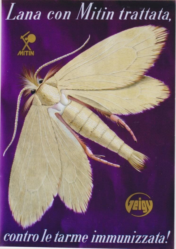 Foto & Immagini: MITIN PER LANA 1946 Manifesto originale – Usato da Blonay venduto da postercollection