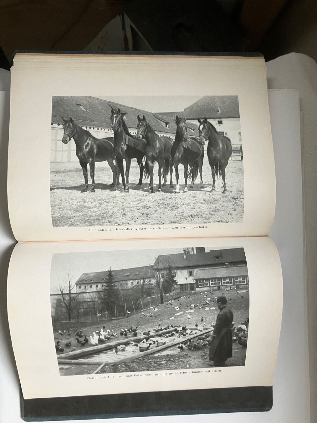 Libri: Maria-Einsiedeln im Tausendsten Jahr – Usato da ZUERICH venduto da Carolus1 6