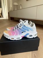 Nike Air Max Plus TN Tuned