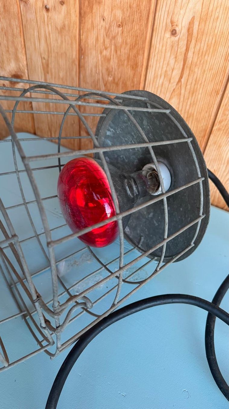 Lampen: Infrarotlampe mit Retro Schutzkorb – Gebraucht aus Krauchthal von SamsPuce 6