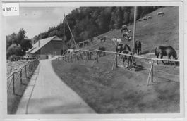 Wirtschaft u. Sennhaus Hint. Weissenstein - Pferde und Kühe