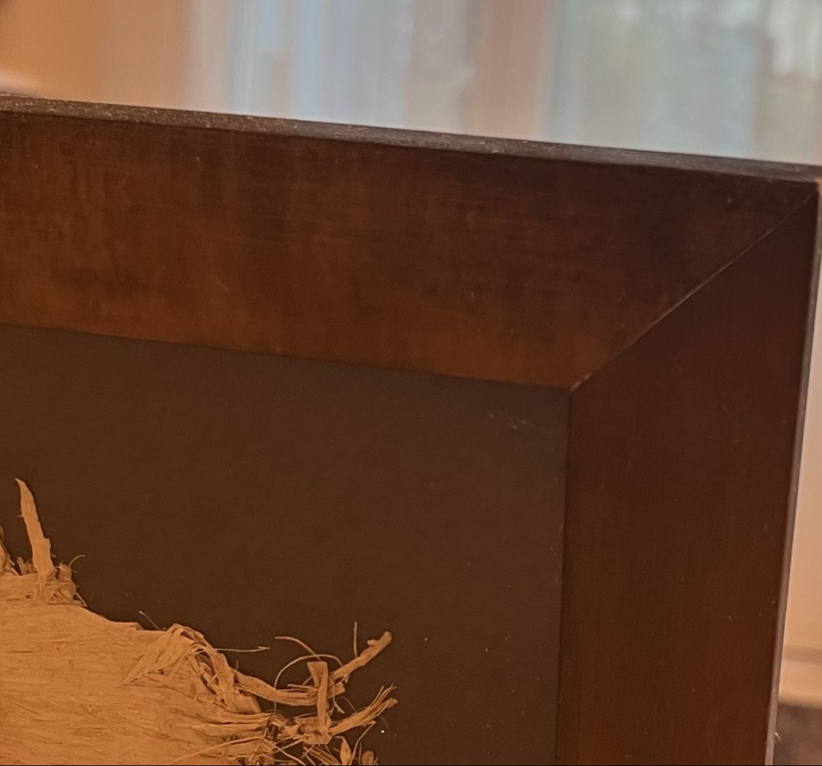 Poster & Bilder: Gerahmtes Papyrus Bild top Zustand – Gebraucht aus Meierskappel von nidi76 2
