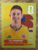 Panini COL 14