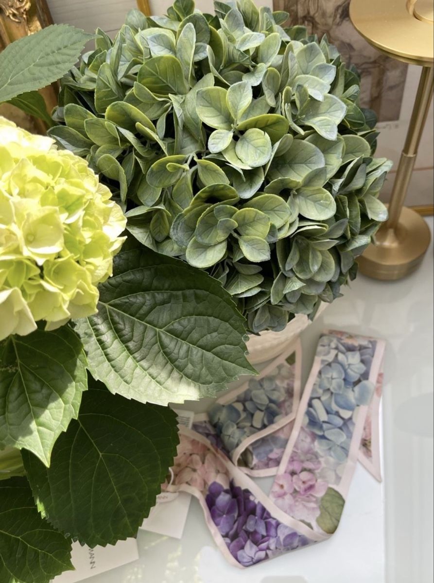 Foulard & Sciarpe: Zimmermann Seidentuch / Silk Ribbon Scarf Hydrangea NEU – Nuovo (secondo la descrizione) da Winkel venduto da Luxtime 1