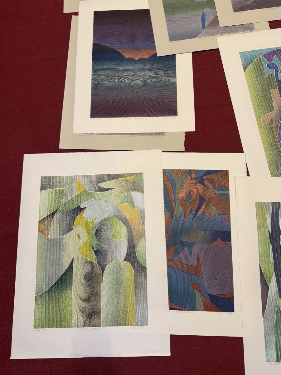 Grafiken & Lithographien: Lithos Hand signiertes Bilder 15 stk.  – Gebraucht aus Schlieren von Freundlich02 2