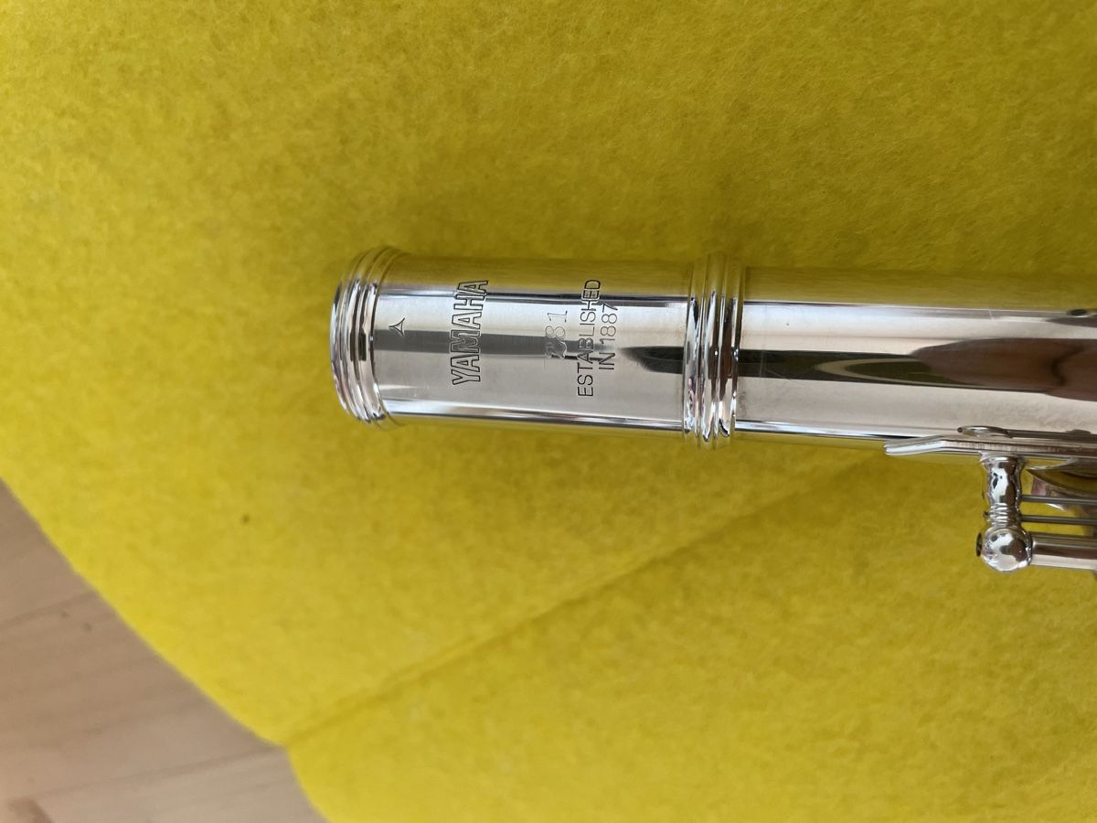 Yamaha Strumenti musicali: Yamaha YFL 281 Flute, top – Usato da Neuchatel venduto da gus_2dmy 3