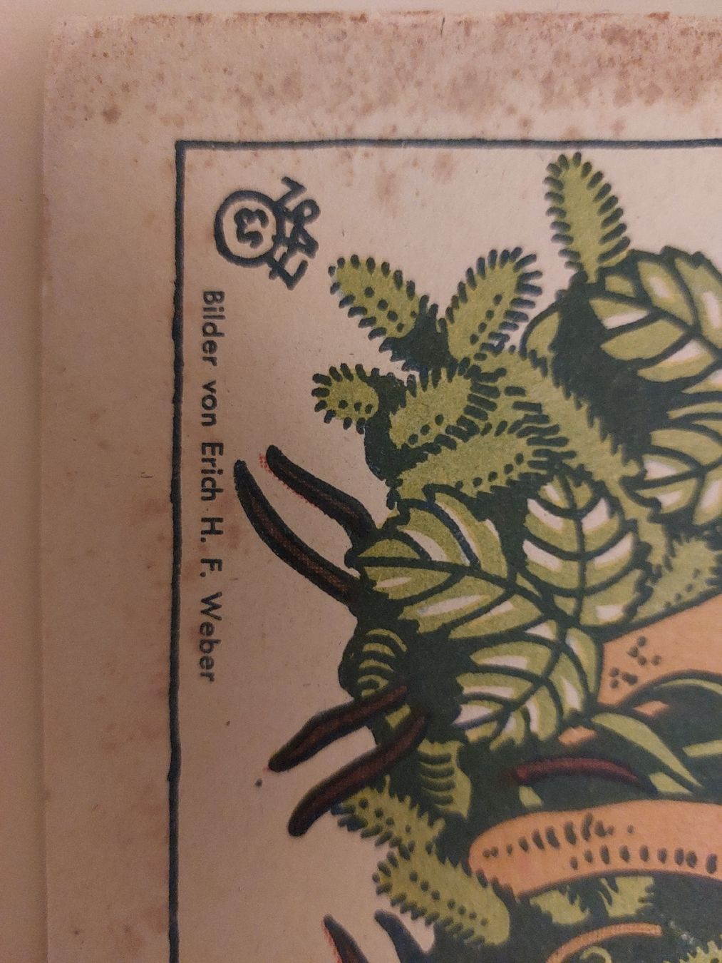 Libri: Malbuch antik 1947 – Usato da Effretikon venduto da swobdo 1