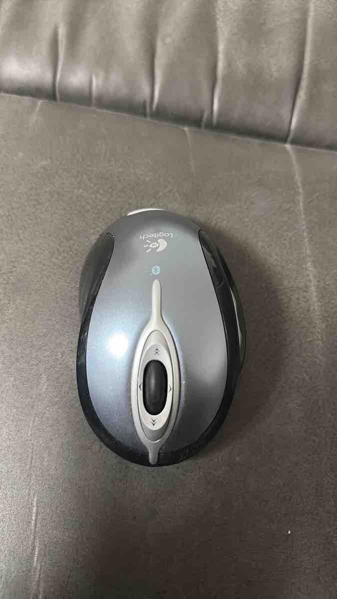 Logitech Maus: Logitech MX Laser Maus – Gebraucht aus Giebenach von mus_5m7j