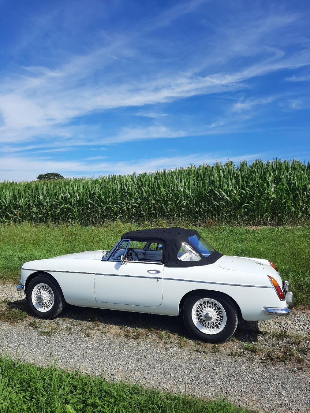 MG Automobili: MGB – Usato da Kefikon TG venduto da KarinL7 2
