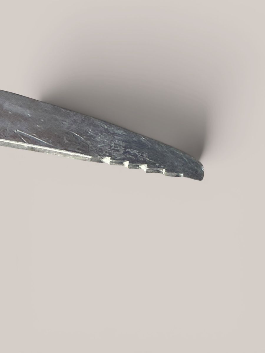 Attrezzatura da arrampicata: Piolet Cassin vintage 85 cm acier/bois – Usato da Vessy venduto da _Callidus_ 5