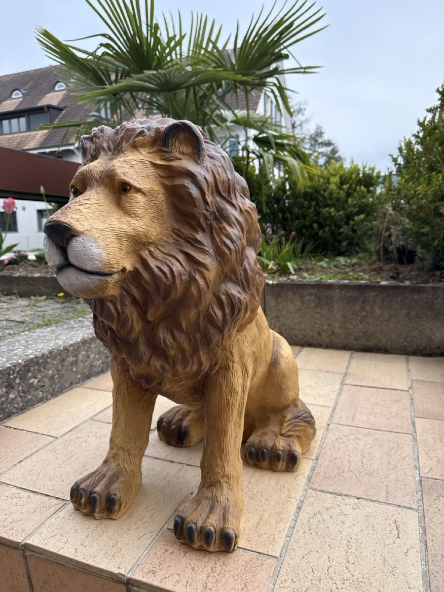 Sculture & Statue: Grosse Löwen Statue für Garten oder Terrasse! NEU – Nuovo e nell'imballaggio originale da Zwingen venduto da Eiphone 1