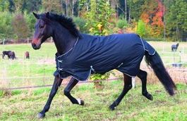 Pferde-Winterdecke IceProtect 600 Denier Gr. 145cm