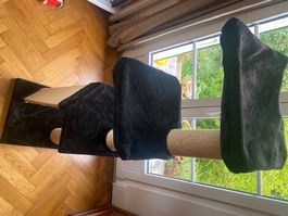 Arbre à chat
