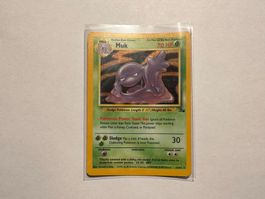 Muk holo Fossil EN