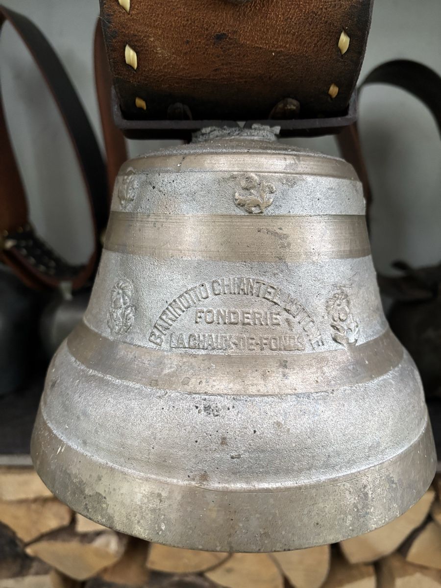 Campanacci mucche: Glocke Barinotto. – Usato da Schangnau venduto da Roseggli82 2