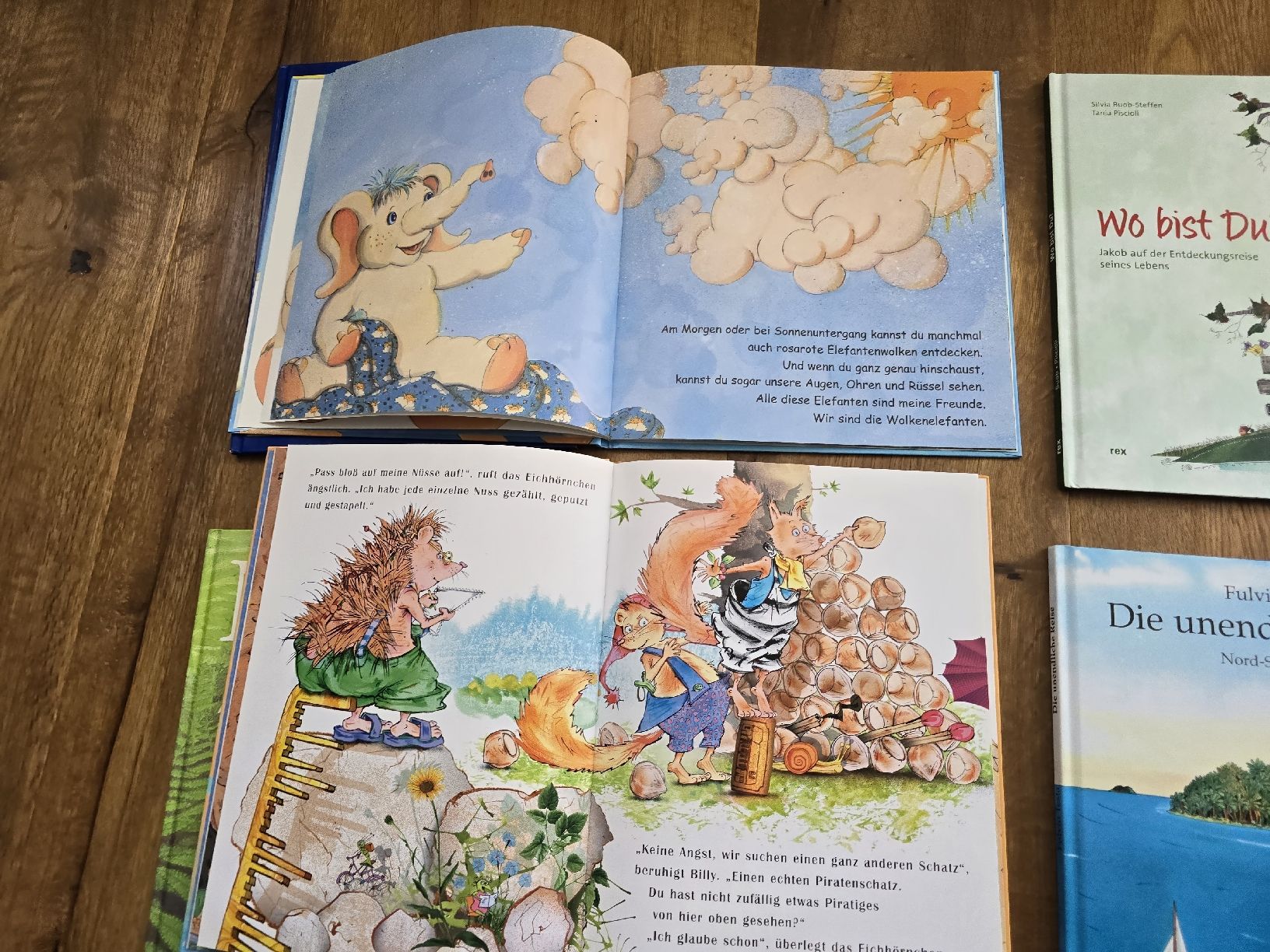 Livres: bücher set – D'occasion à Wittenbach par Tigerlili 2