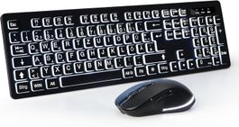 Großschrift Tastatur Maus Set QWERTZ beleuchtet