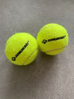2 Schildkröt training / beach tennis balls (hard, not foam)