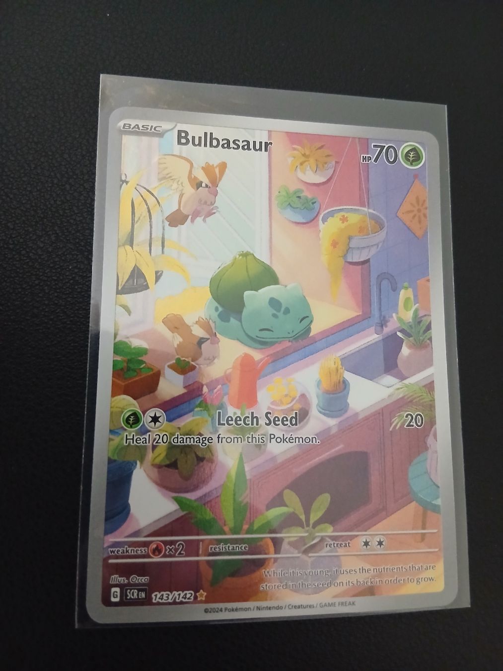 Pokémon Cartes à collectionner: Bulbasaur Pokémon Englisch – Neuf (Voir description) à Regensdorf par Baba_Basar 2
