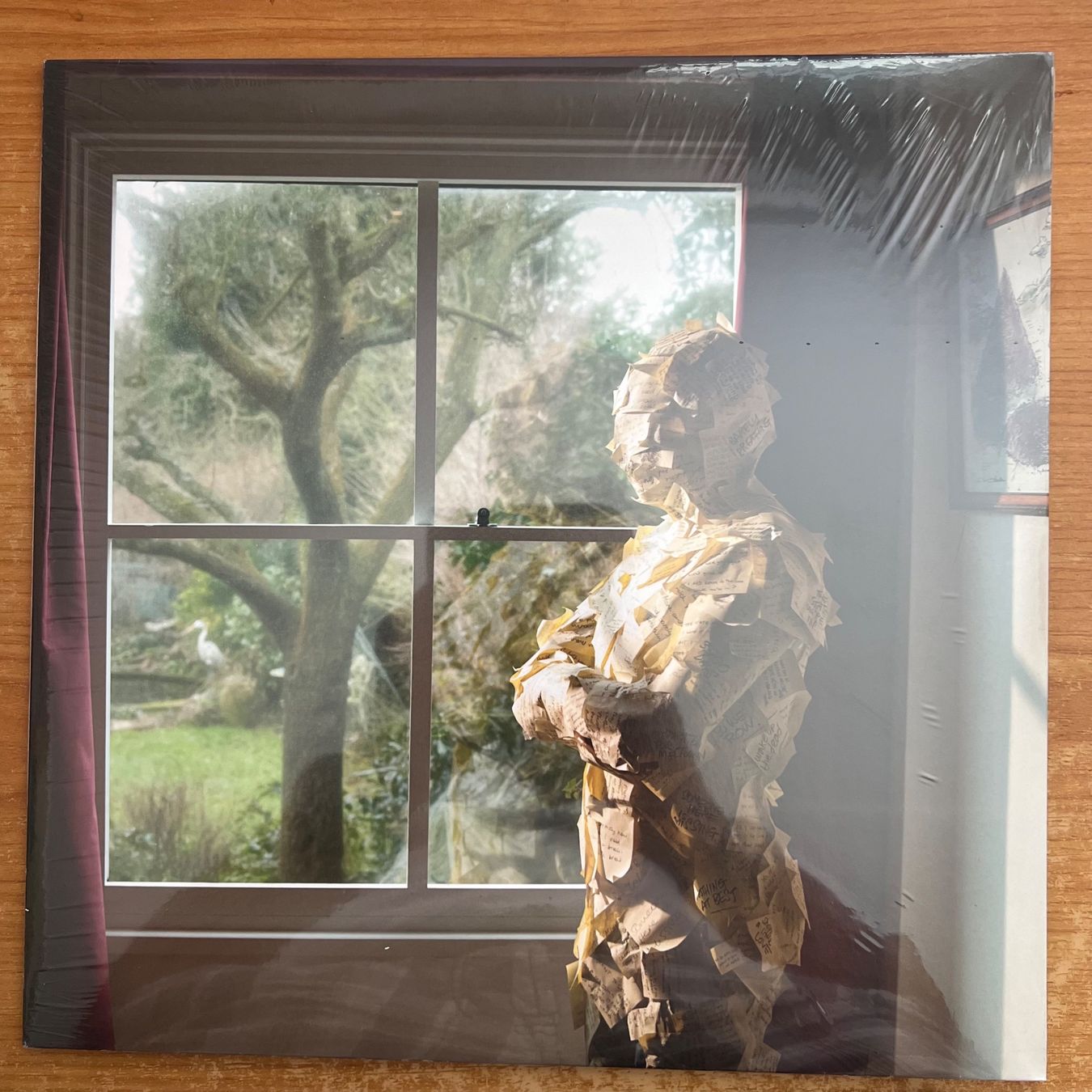 Dischi in vinile: Pineapple Thief - Someone Here Is Missing / 1.UK-Press. 2010 – Nuovo e nell'imballaggio originale da Gais venduto da soundcave57