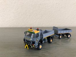 Saurer