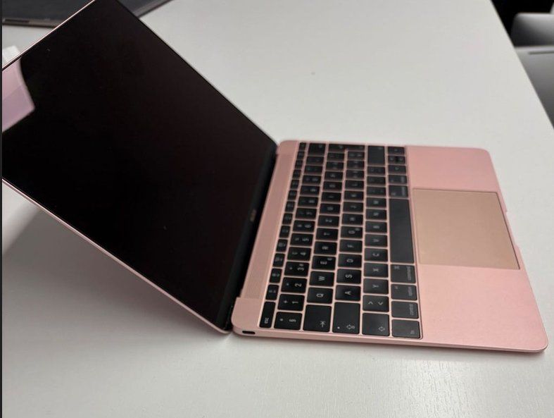 Apple Notebook: MacBook 12 Zoll, Early 2016 Linux – Usato da Selkingen venduto da Mazurit 1
