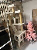 Katzenbaum beige
