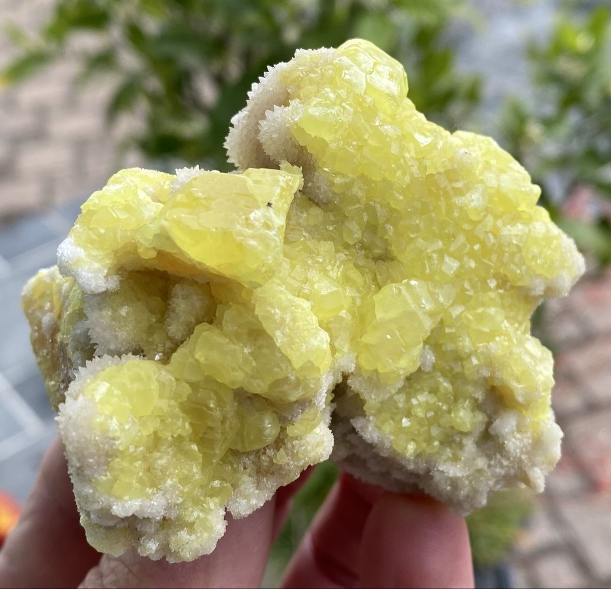 Minerali & Pietre curative: Schönes Stück Schwefel  – Usato da Selzach venduto da 321compac 9