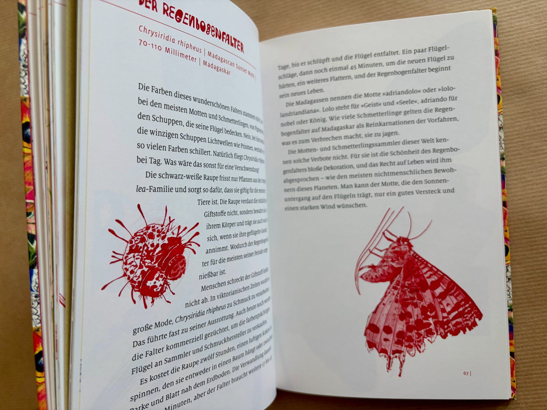 Libri: Cornelia Funke, handsigniert – Usato da Regensdorf venduto da JoergR 4