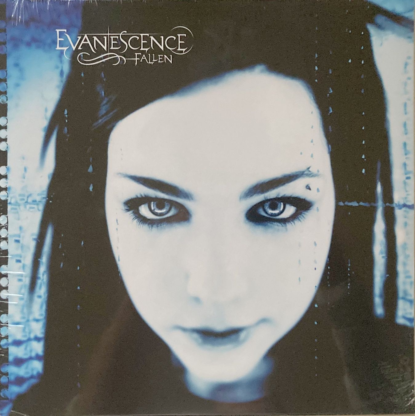 Dischi in vinile: EVANESCENCE - FALLEN (1 LP) – Nuovo e nell'imballaggio originale da Bottens venduto da hotter-than-hell