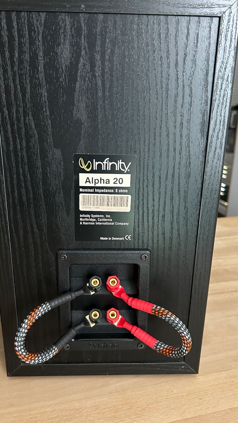 Infinity Casse acustiche: Infinity Alpha 20 – Klassiker mit audiophilem Klang – Usato da Vordemwald venduto da Minimax1 7