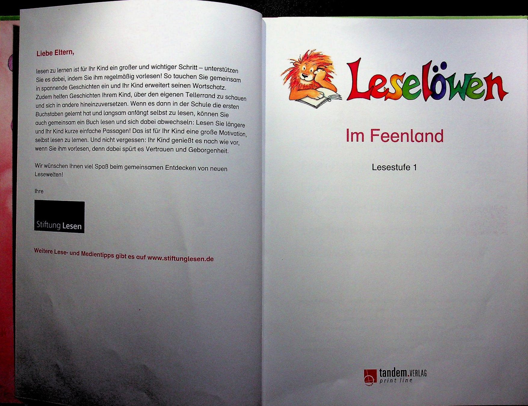 Libri: Erstleser Im Feenland Antolin Kl. 1 – Usato da Reitnau venduto da Zaomir 3