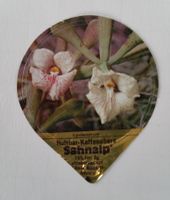 Aus Serie 18 - C - Nr 12