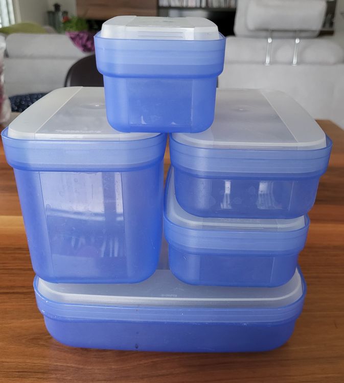 5 Tupperware Boxen mit Klappdeckel, blau (Gebraucht) in Guntershausen ...