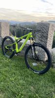 Santa Cruz Blur 4.0 CC Grösse L