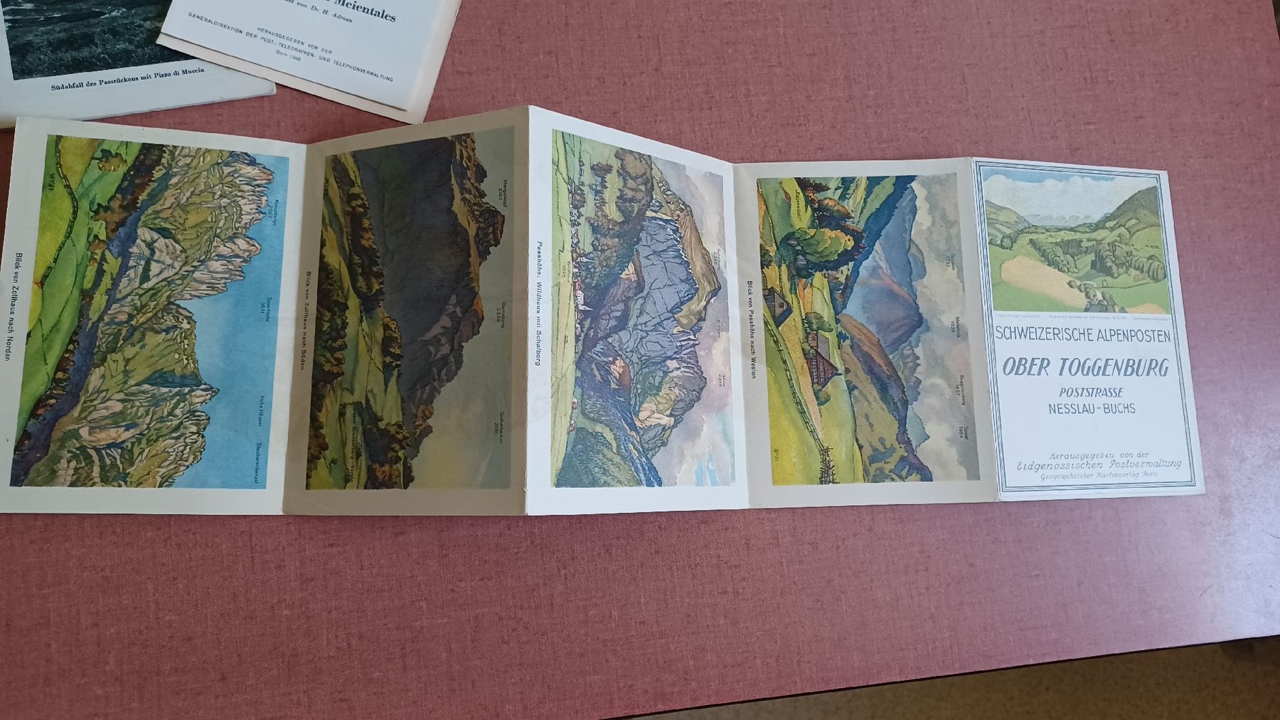 Cartoline: Alte Schweizer Alpenpässe Postkarten – Usato da Steinach venduto da Sommer9000 4