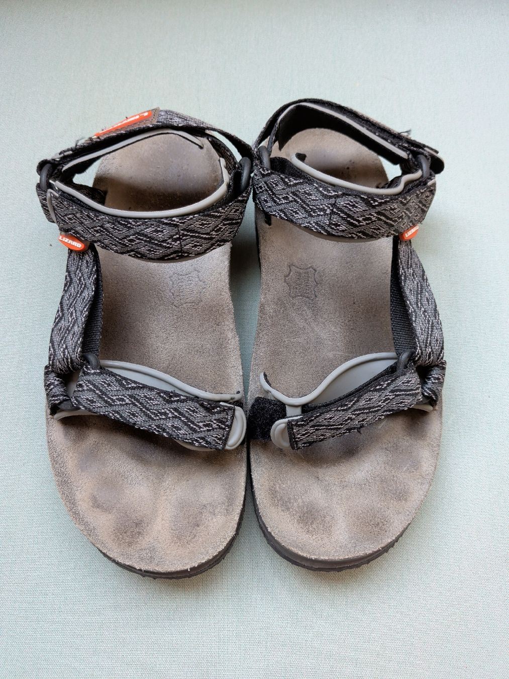 Chaussures femmes: Lizard Skandalen Gr.38 – D'occasion à Münchenbuchsee par Grundel74 1