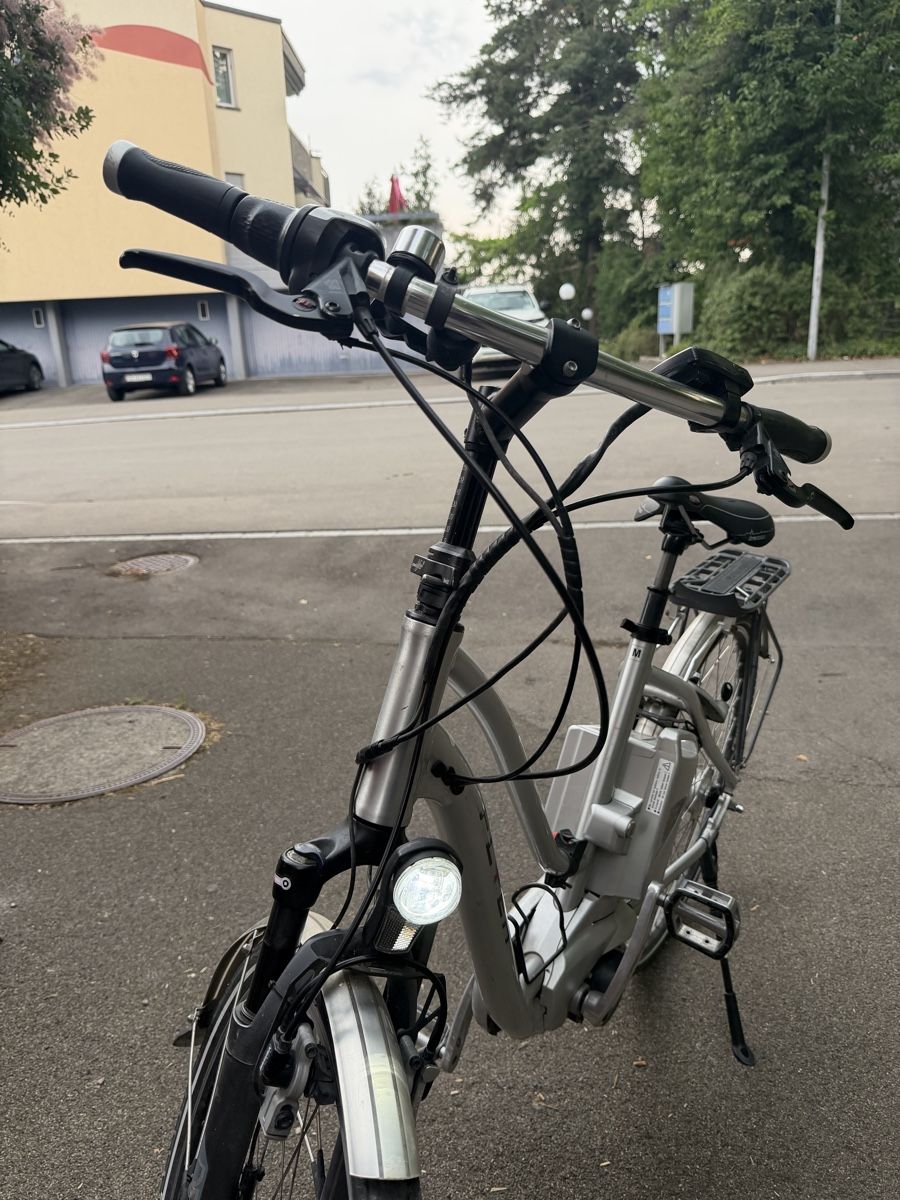 Flyer Biciclette: Flyer E-bike 399Watt Halt noch gut – Usato da Zürich venduto da Ismail-GG 1