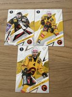 Sportzoo Sammelkarten Playoffs SC Bern