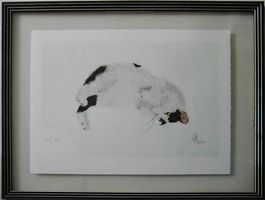 Katze