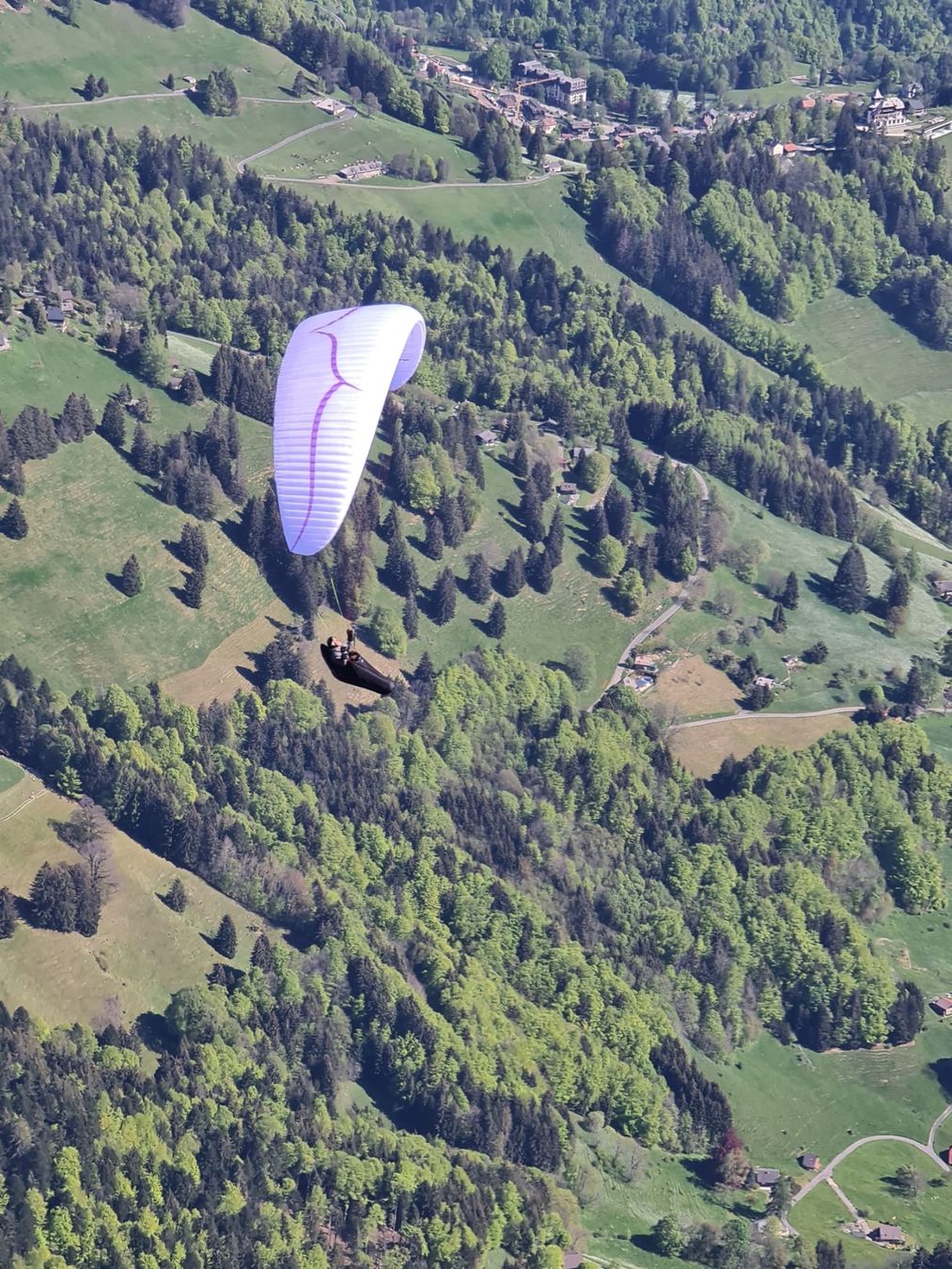 Flug- & Drachensport: Parapente Ozone Alpina 4 S – Gebraucht aus la tour de peilz von LOL_LOL 3