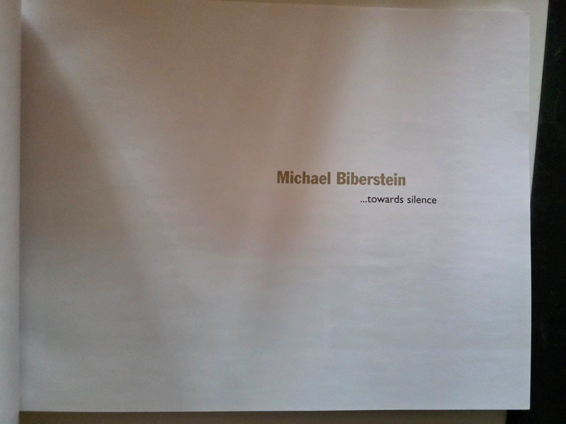 Libri: Kunst Katalog: Michael Biberstein ... towards silence  2002 – Usato da Walterswil BE venduto da Lonitti 5