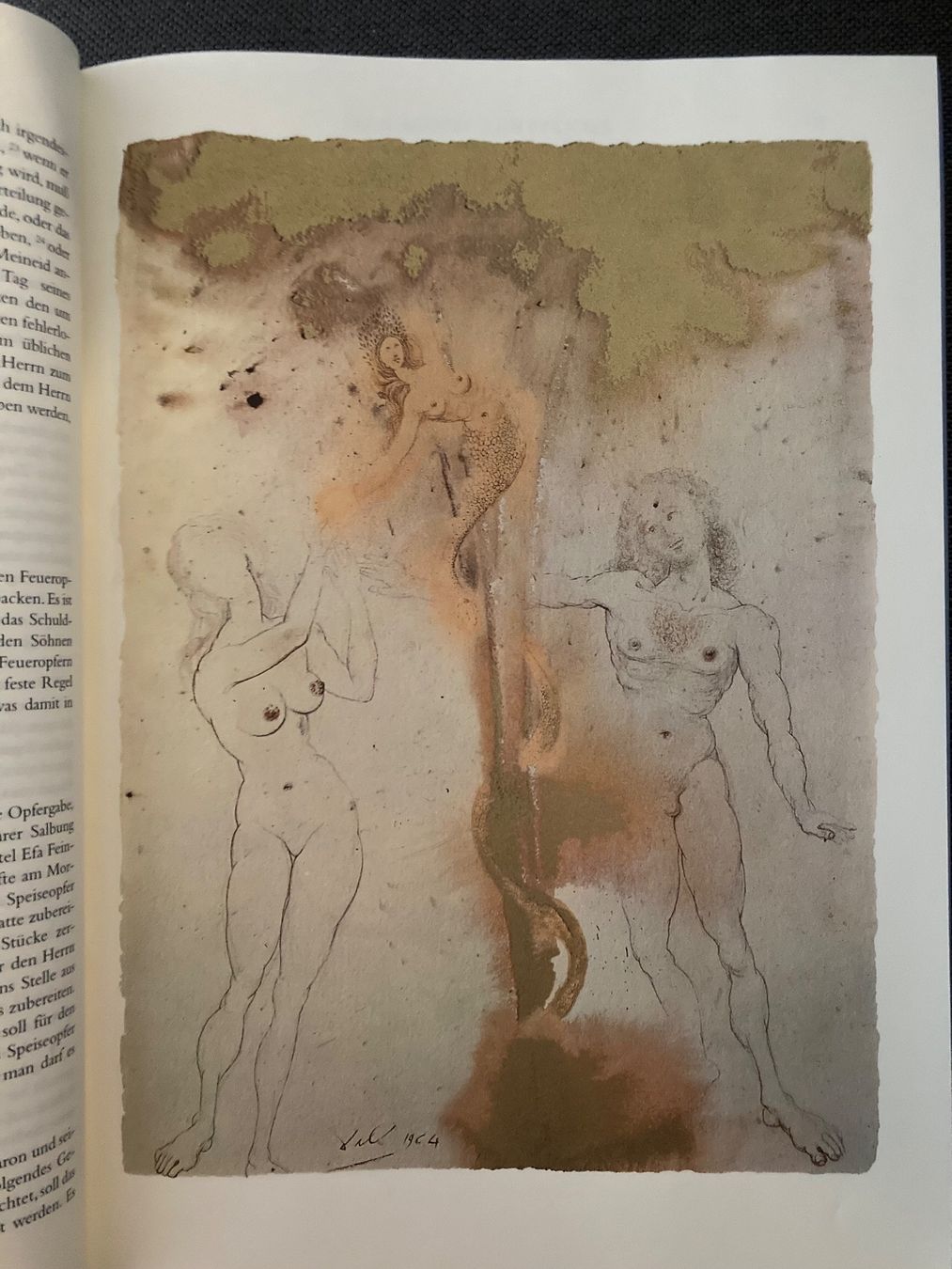 Libri: Bibel von Dali illustriert – Usato da Allschwil venduto da Abudun 4