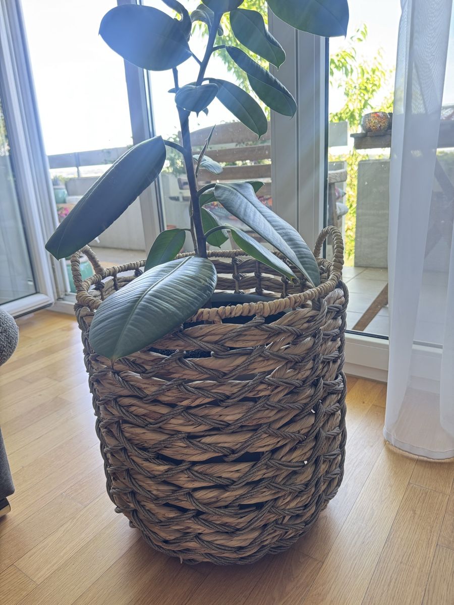 Altro per la casa: Geflochtene Korb H 42, B 39cm 30 Fr. – Nuovo (secondo la descrizione) da Zürich venduto da Ekaterinek
