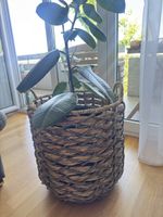 Geflochtene Korb H 42, B 39cm 30 Fr.