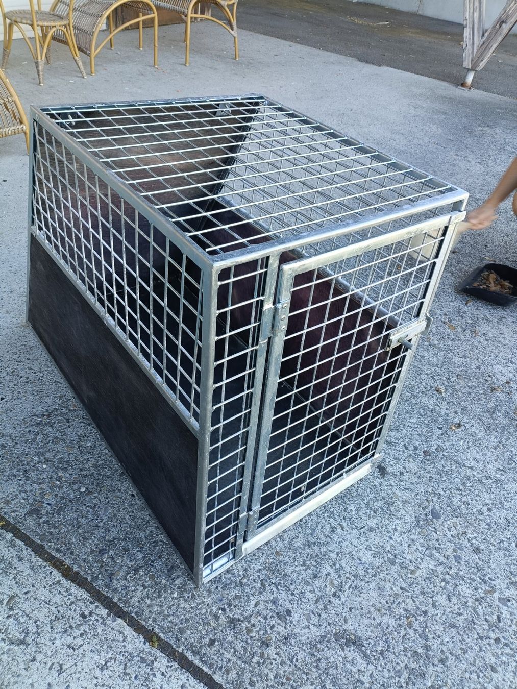 Gabbie, trasporto & Sicurezza: Hundebox – Usato da Köniz venduto da Brockenreich 4