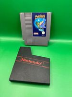 Solestice die Suche nach dem Zauberstab von Demnos - NES