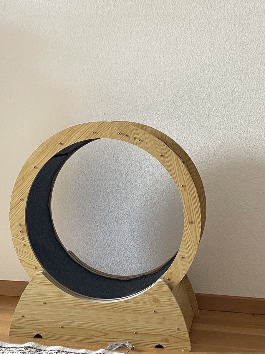 Pneus & Roues: Roue d’exercice pour chat neuve – Neuf (Voir description) à Lausanne par SandrineJavelot 1