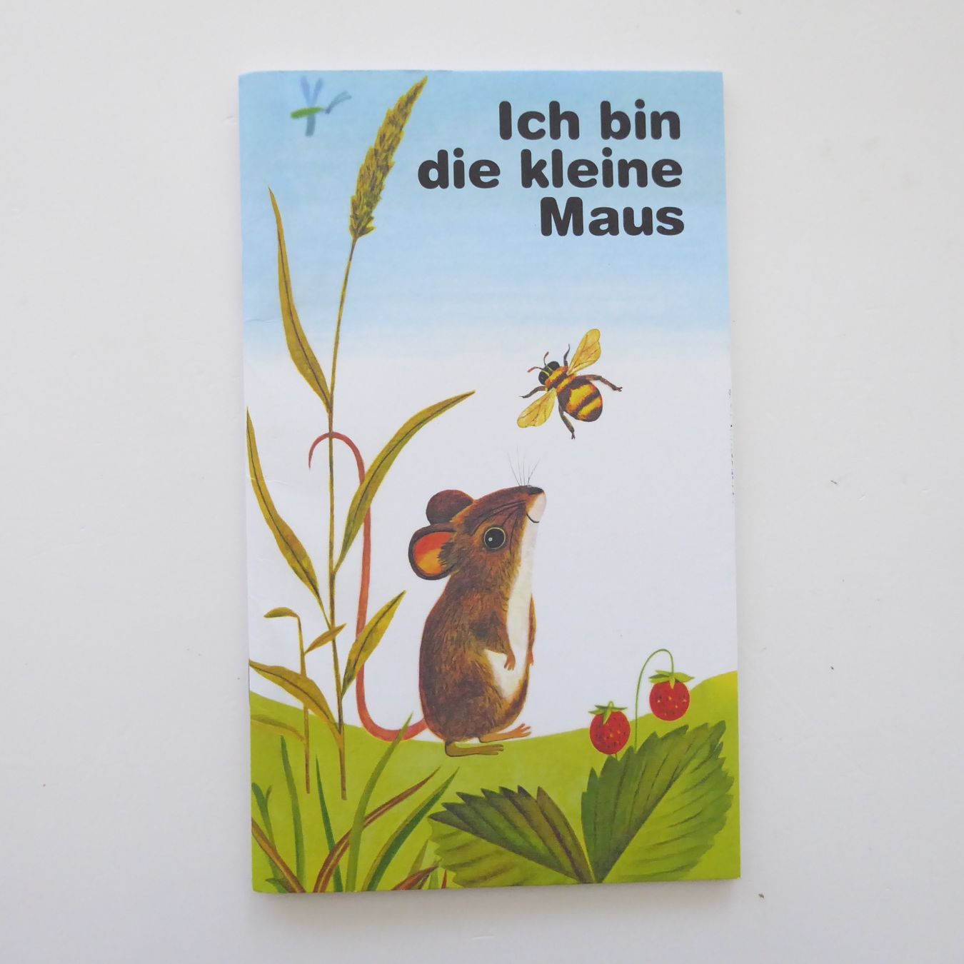 Libri: Ich bin die kleine Maus – Usato da Basel venduto da Kunterbunt12